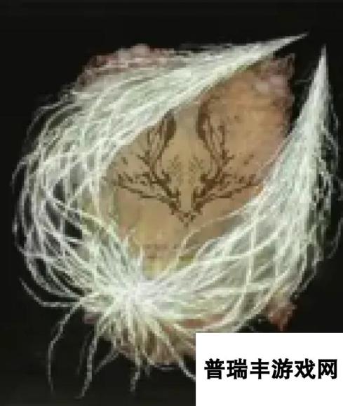 《艾尔登法环》虫丝枪祷告获得方法介绍